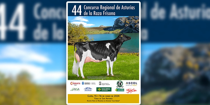 44 Concurso Regional de Asturias de la Raza Frisona 2024