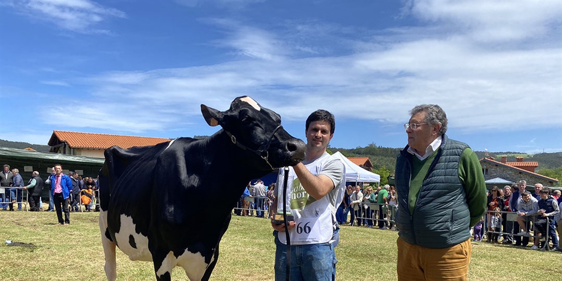 Cudaa Ipad Crushtime (Granja Cudaa), Vaca Gran Campeona en el...