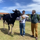 Cudaa Ipad Crushtime (Granja Cudaa), Vaca Gran Campeona en el Concurso Frisn de Galizano 2024