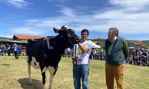 Cudaa Ipad Crushtime (Granja Cudaa), Vaca Gran Campeona en el...