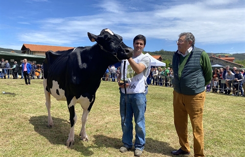 Cudaa Ipad Crushtime (Granja Cudaa), Vaca Gran Campeona en el...