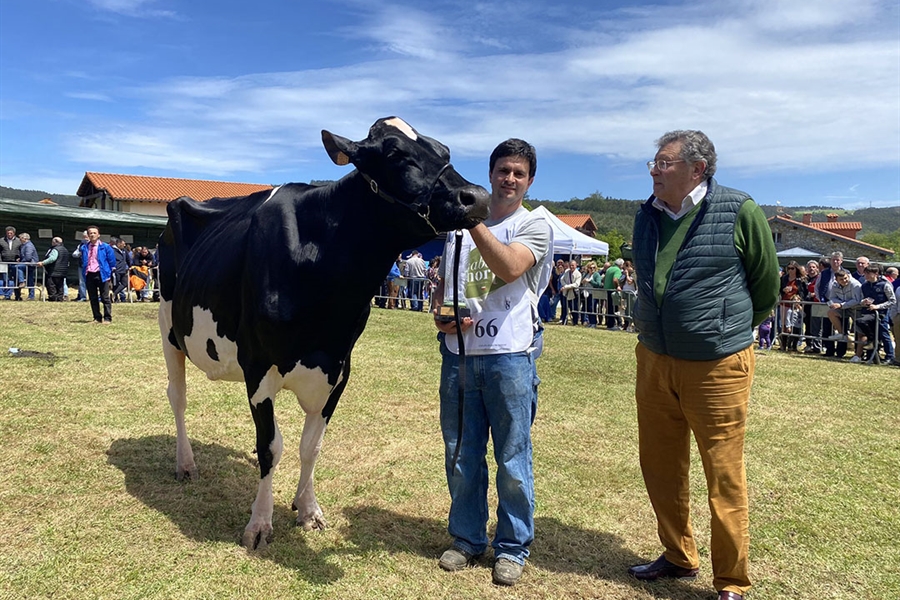 Cudaa Ipad Crushtime (Granja Cudaa), Vaca Gran Campeona en el...