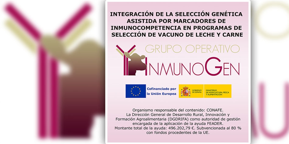 En qu consiste el nuevo Proyecto de Innovacin GO_INMUNOGEN...