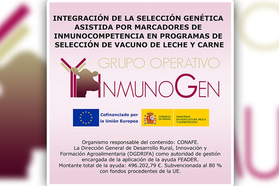 En qu consiste el nuevo Proyecto de Innovacin GO_INMUNOGEN...