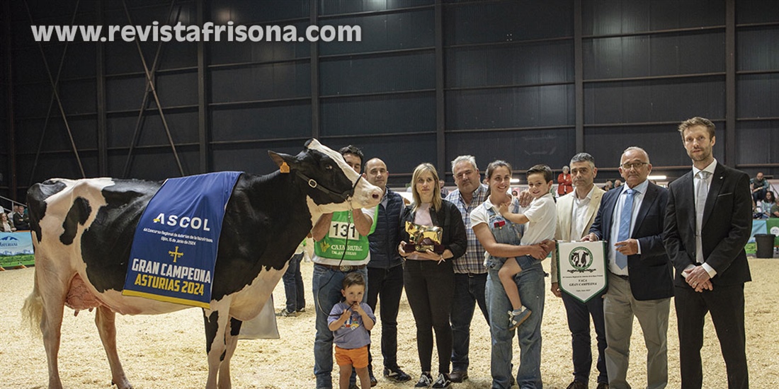 Venturo Hotjob Romilita (Casa Venturo), Vaca Gran Campeona de Asturias 2024