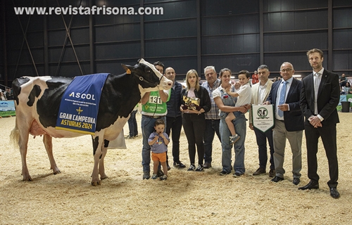 Venturo Hotjob Romilita (Casa Venturo), Vaca Gran Campeona de Asturias 2024