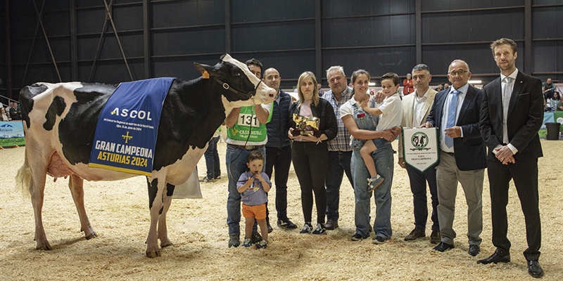 Venturo Hotjob Romilita (Casa Venturo), Vaca Gran Campeona de Asturias 2024