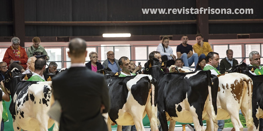 Otra mirada al Concurso Regional de Asturias de la Raza Frisona 2024