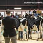 Otra mirada al Concurso Regional de Asturias de la Raza Frisona 2024