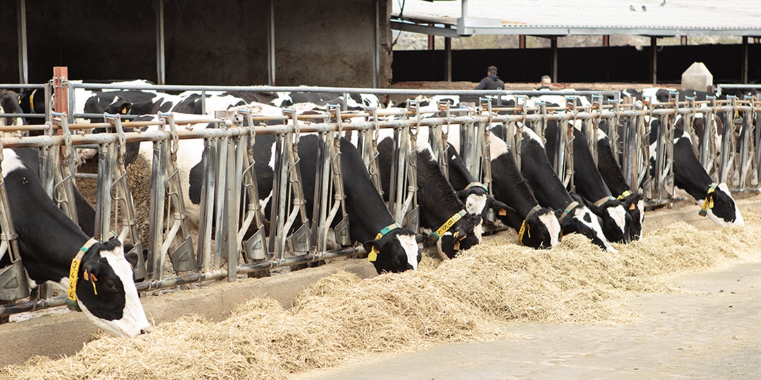Crecen en un 56 % las ayudas para jvenes productores de la Comunidad...