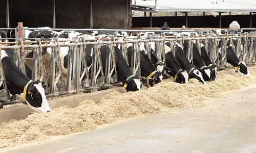Crecen en un 56 % las ayudas para jvenes productores de la Comunidad...