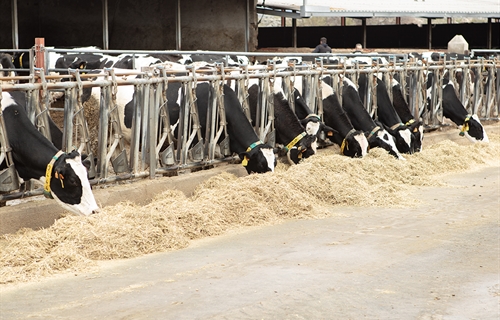 Crecen en un 56 % las ayudas para jvenes productores de la Comunidad...