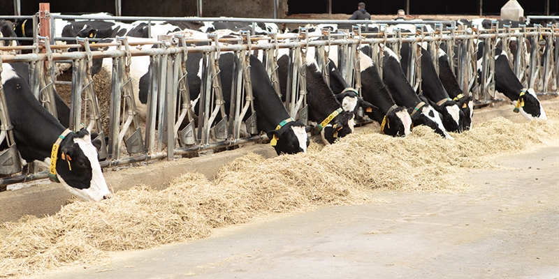 Crecen en un 56 % las ayudas para jvenes productores de la Comunidad de Madrid