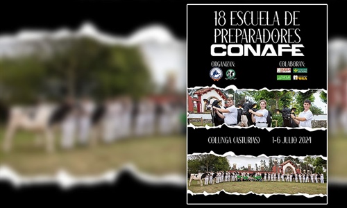 Ya est disponible el Programa de la Escuela de Preparadores CONAFE 2024
