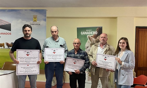 AFCA celebra la Asamblea Anual de Socios 2024