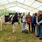 Cantn Karaja Montana (El Cantn), Vaca Gran Campeona de Renedo 2024