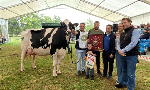 Cantn Karaja Montana (El Cantn), Vaca Gran Campeona de Renedo 2024