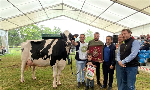 Cantn Karaja Montana (El Cantn), Vaca Gran Campeona de Renedo 2024