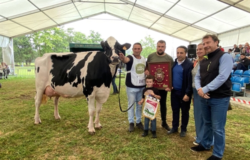 Cantn Karaja Montana (El Cantn), Vaca Gran Campeona de Renedo 2024