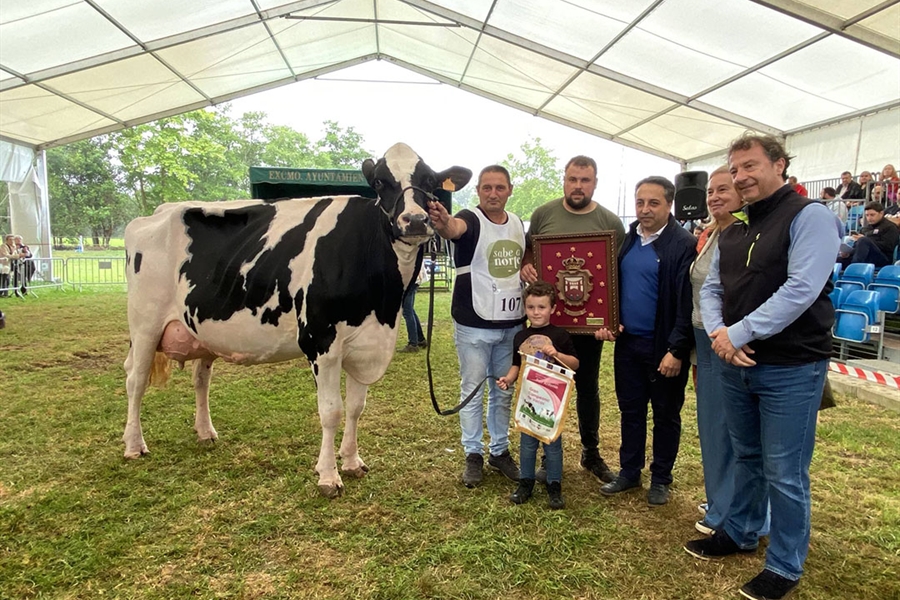 Cantn Karaja Montana (El Cantn), Vaca Gran Campeona de Renedo 2024