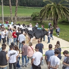 Muy buenas vacas y muy buen ambiente en la Escuela de Jueces Ganaderos 2024