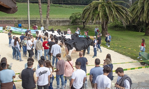 Muy buenas vacas y muy buen ambiente en la Escuela de Jueces Ganaderos 2024