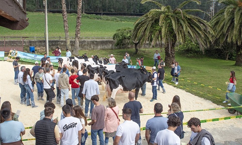 Muy buenas vacas y muy buen ambiente en la Escuela de Jueces Ganaderos 2024