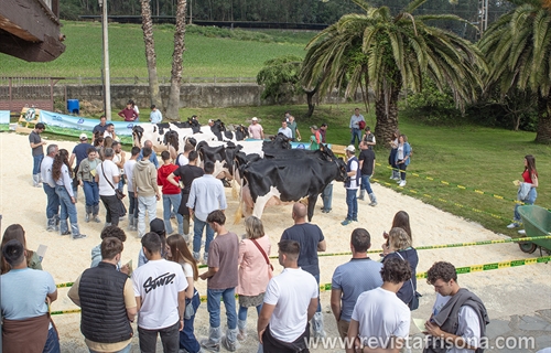 Muy buenas vacas y muy buen ambiente en la Escuela de Jueces Ganaderos 2024