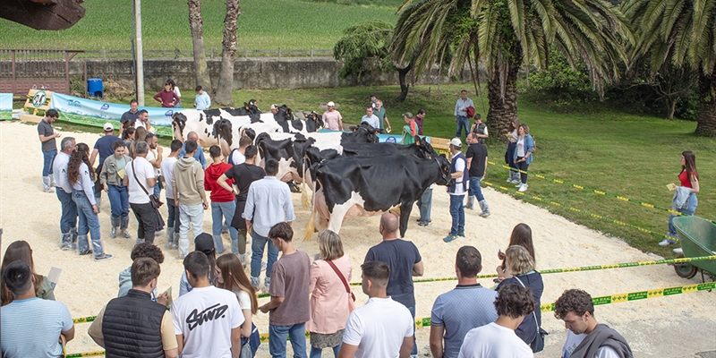 Muy buenas vacas y muy buen ambiente en la Escuela de Jueces Ganaderos 2024
