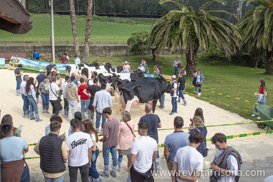 Muy buenas vacas y muy buen ambiente en la Escuela de Jueces Ganaderos 2024