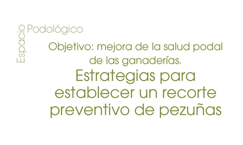 Objetivo: mejora de la salud podal de las ganaderas. Estrategias para...