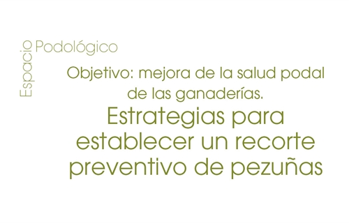 Objetivo: mejora de la salud podal de las ganaderas. Estrategias para...