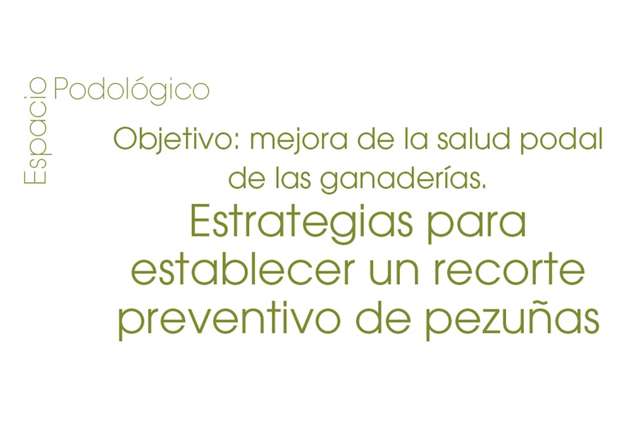 Objetivo: mejora de la salud podal de las ganaderas. Estrategias para...