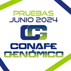 Nuevas pruebas genticas CONAFE Junio 2024: Evaluacin Tradicional y Genmica Completa