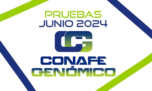 Nuevas pruebas genticas CONAFE Junio 2024: Evaluacin Tradicional y...