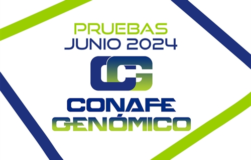 Nuevas pruebas genticas CONAFE Junio 2024: Evaluacin Tradicional y...