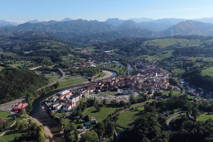LXXX Concurso-Exposici�n Oficial de Ganados del Oriente de Asturias (El...