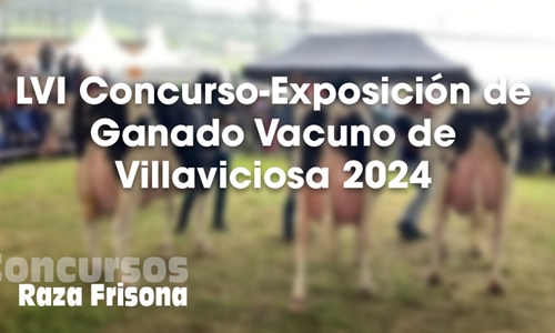 LVI Concurso-Exposicin de Ganado Vacuno de Villaviciosa 2024