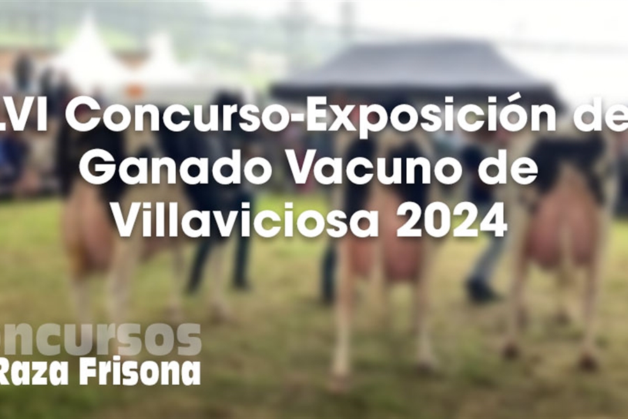 LVI Concurso-Exposici�n de Ganado Vacuno de Villaviciosa 2024