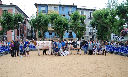 Ondazarte Alligator Barbado, Vaca Gran Campeona de Irn 2024