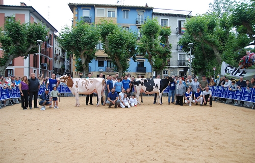 Ondazarte Alligator Barbado, Vaca Gran Campeona de Irn 2024