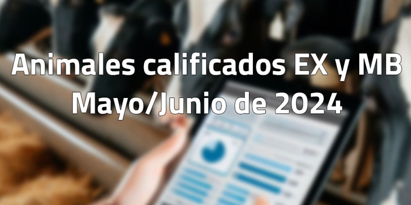 Animales calificados EX y MB en mayo y junio de 2024