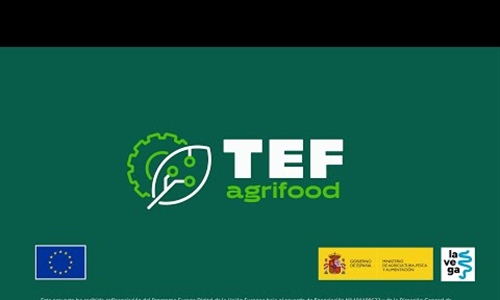 Se presenta el proyecto GO_INMUNOGEN en la jornada AgriFoodTEF