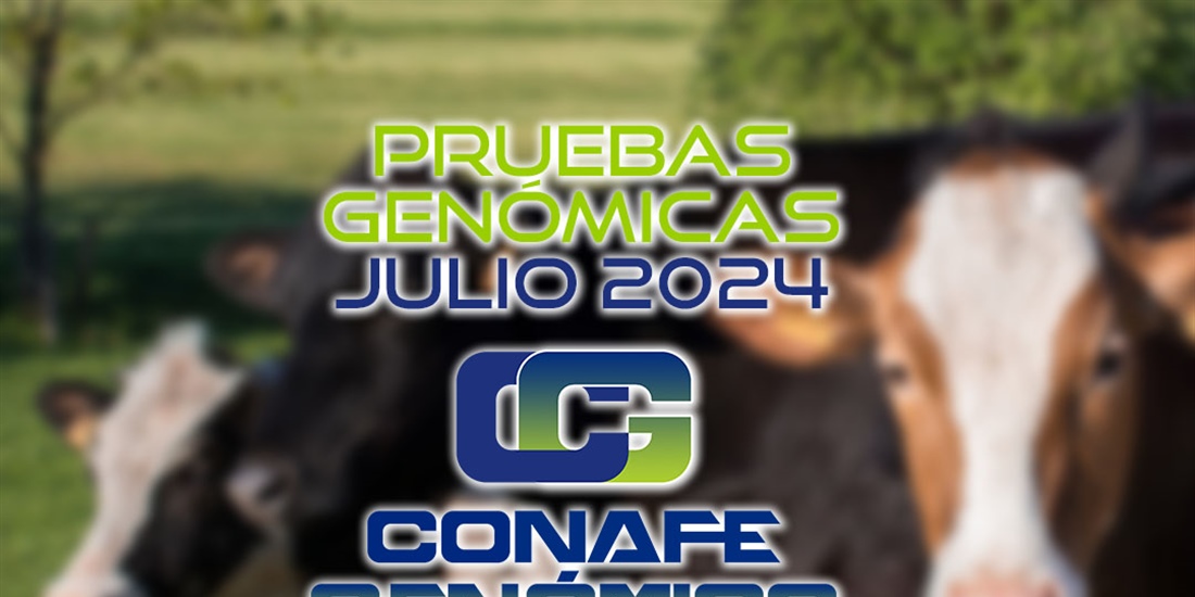 Actualizacin de las pruebas genmicas de Hembras CONAFE julio 2024