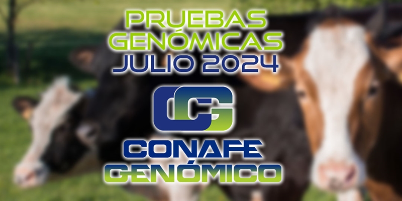Actualizaci�n de las pruebas gen�micas de Hembras CONAFE julio 2024