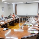 14 medidas ejecutadas y 12 en estado avanzado, de las 43 medidas de apoyo a agricultores y ganaderos