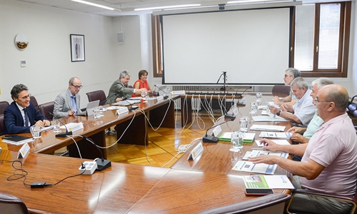 14 medidas ejecutadas y 12 en estado avanzado, de las 43 medidas de...