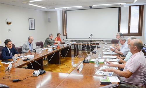 14 medidas ejecutadas y 12 en estado avanzado, de las 43 medidas de...