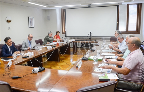 14 medidas ejecutadas y 12 en estado avanzado, de las 43 medidas de...