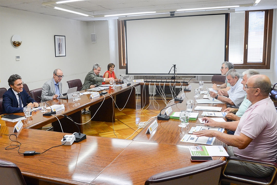 14 medidas ejecutadas y 12 en estado avanzado, de las 43 medidas de...